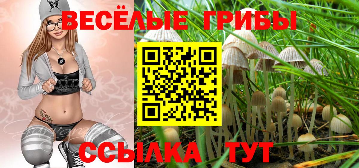 Псилоцибиновые грибы мицелий  Псилоцибиновые грибы GOLDEN TEACHER  Вход с VPN  Люберцы 