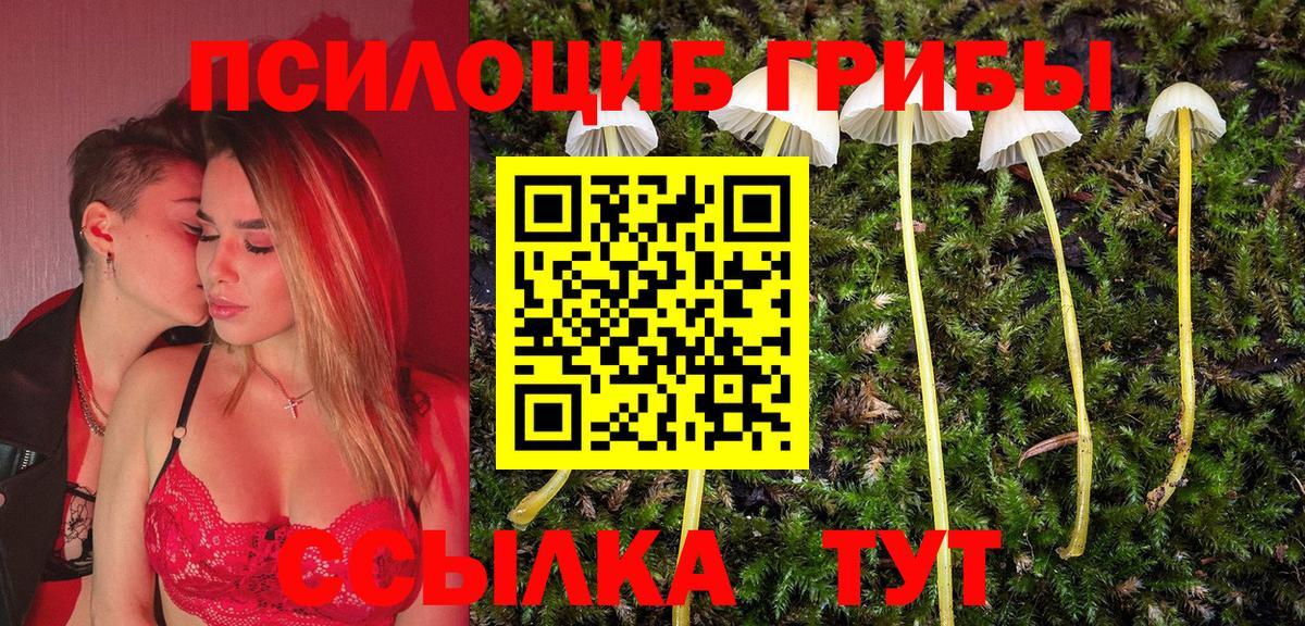 Псилоцибиновые грибы MAGIC MUSHROOMS Люберцы